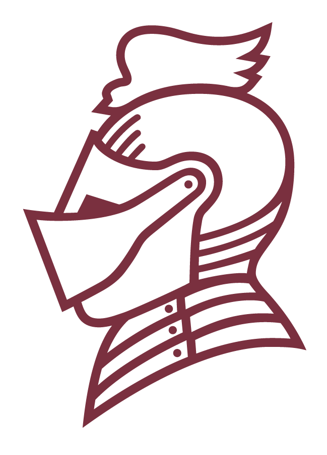 Bellarmine Knights 2010-Pres Secondary Logo iron on transfers for clothing